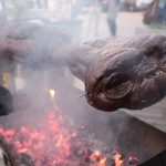 Everyone sharing BBQ, so I’ll share this. Not sure what, but I shot it when it pointed its finger at me. Smells good!