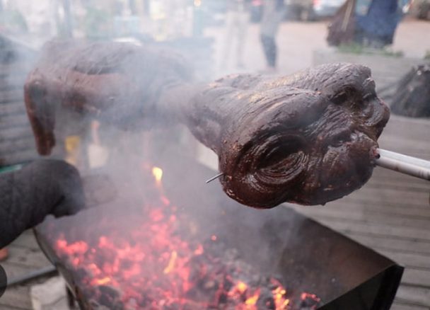 Everyone sharing BBQ, so I’ll share this. Not sure what, but I shot it when it pointed its finger at me. Smells good!