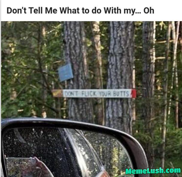 The f**k is going on in these woods The f**k is going on in these woods