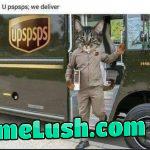 Hiss your pspspspackage.