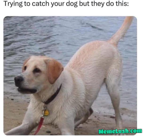 Might as well give up