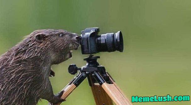 Amazing Kurwa Amazing Kurwa