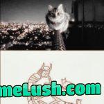 I’m probably gonna die this way too