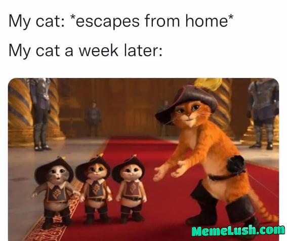 Isn’t it exciting?