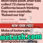 California justice system