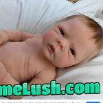 Wtf did i just read?