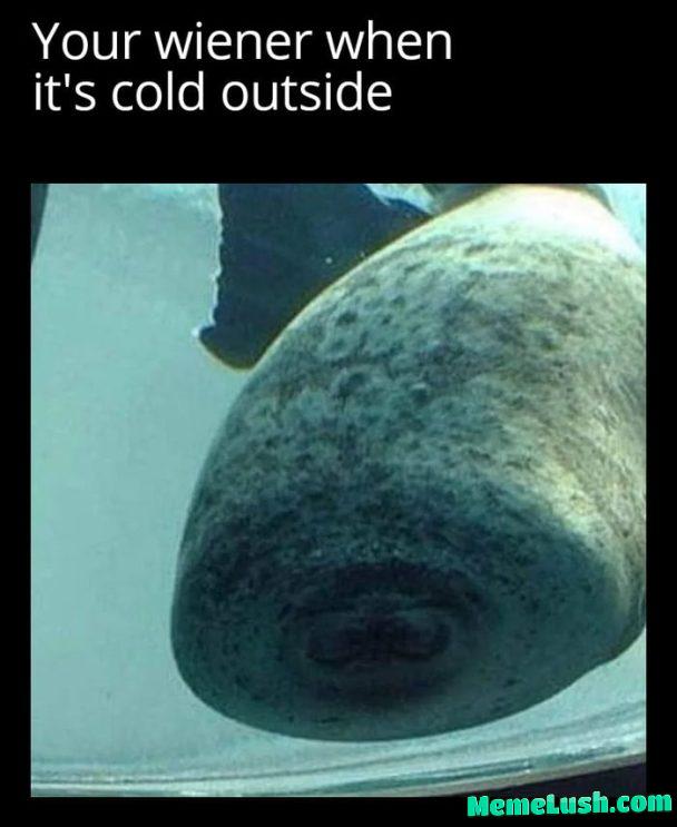 Its just cold