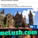 “Why don’t you get a job?”