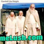 Where’s their walking sticks?