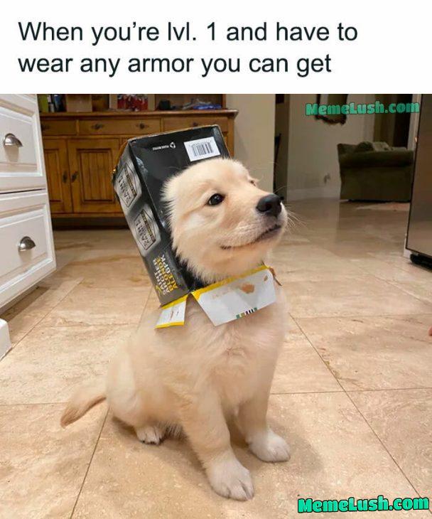 We’ve been training for years, Now we’re ready to strike