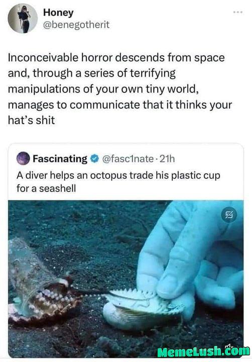 His friends are NEVER gonna believe his story!