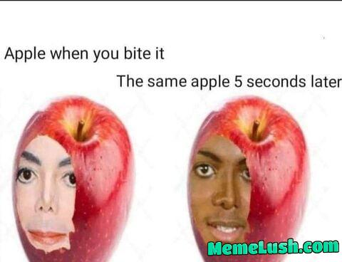 Why does it rot so fast