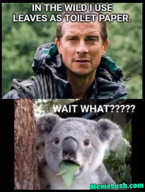 So that’s why the leaves taste-off… So that’s why the leaves taste-off…