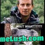 So that’s why the leaves taste-off…