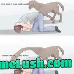 You told me it was a holiday