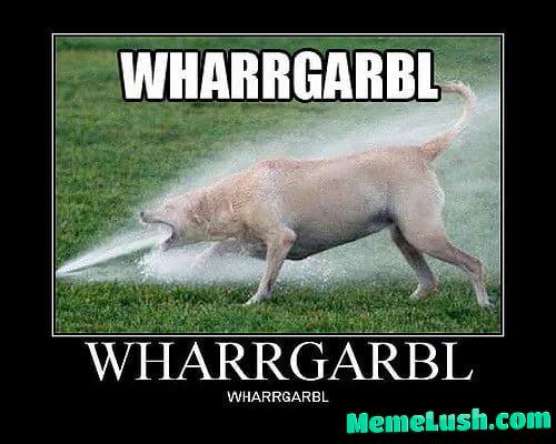 Classic memes from my archives 001. This is one of my all-time favorites. Classic memes from my archives 001. This is one of my all-time favorites.