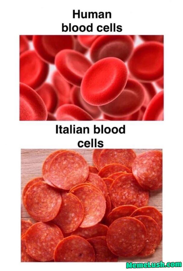 100% the truth