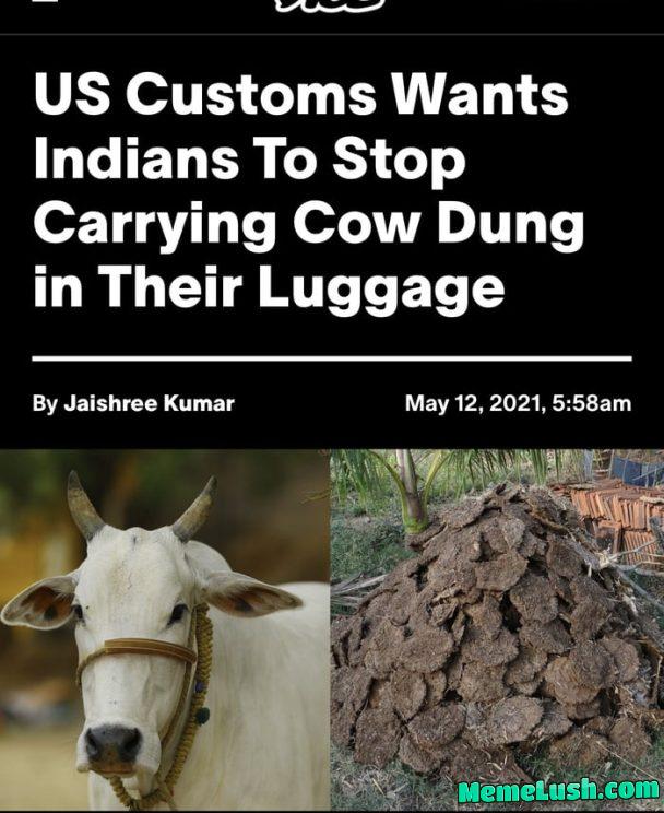 The next wave of pandemics is forming. It will be a shit show. The next wave of pandemics is forming. It will be a shit show.