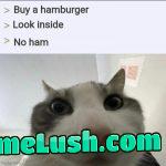 Can I has?