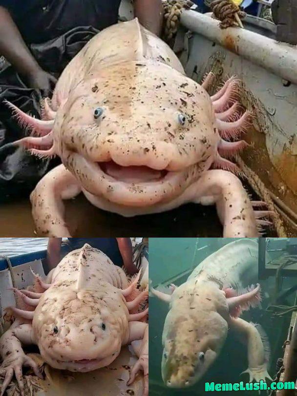 Friendly giant friend Friendly giant friend