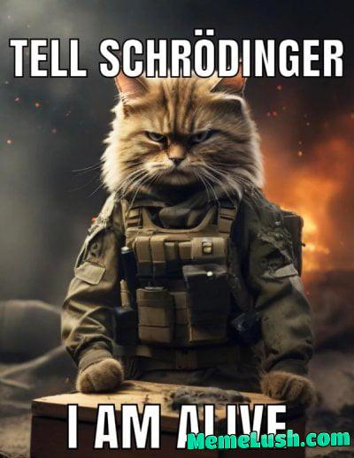 I am sick of Instagram narcissists here