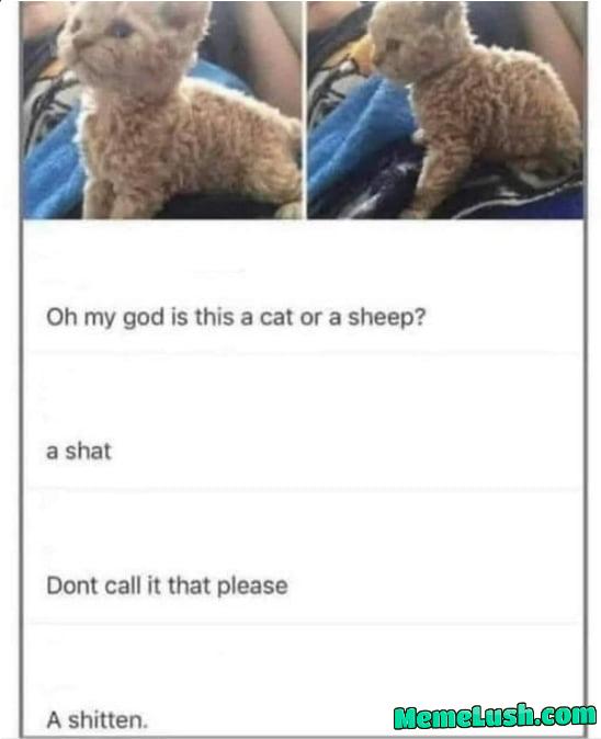 How about a ceep? How about a ceep?