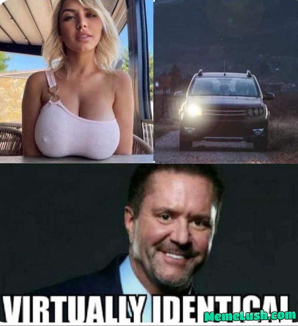 Which one is more dependable though