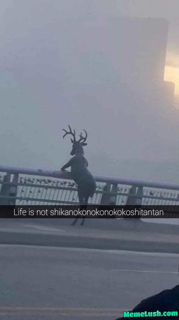 It truly isn’t. Goodbye deer world. It truly isn’t. Goodbye deer world.