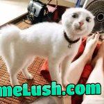 What’re you looking at?!