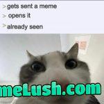 My disappointment is immeasurable…