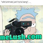 They be wildin