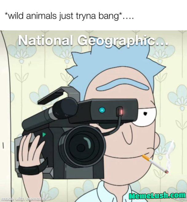 They be wildin They be wildin