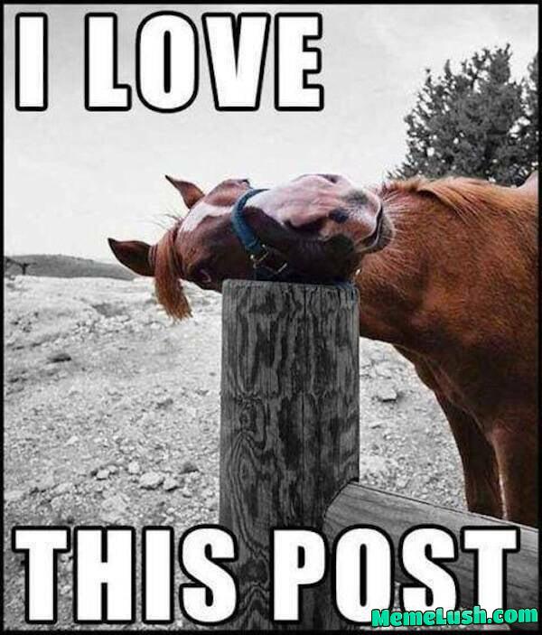 Send me”THIS POST”