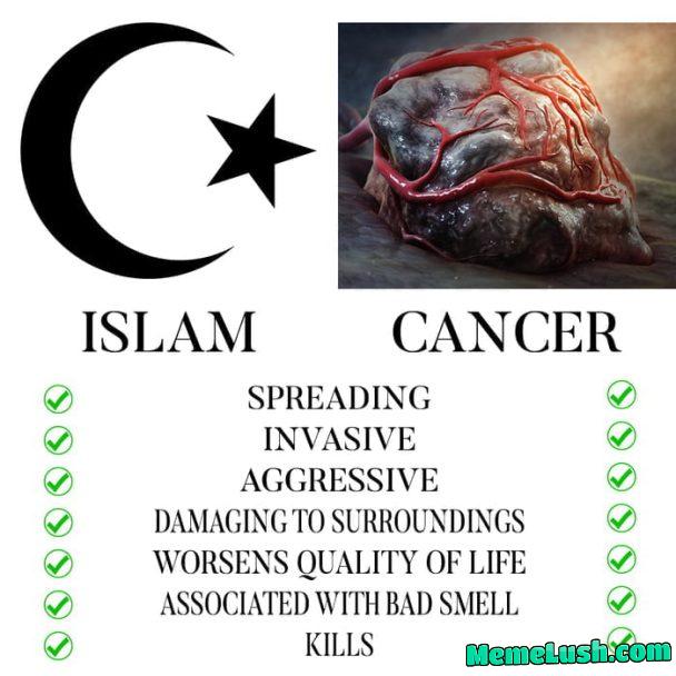 So true, yet so sad So true, yet so sad