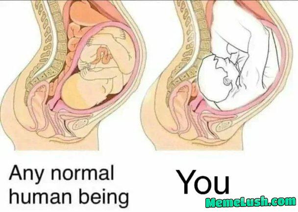 Giggity :D Giggity :D