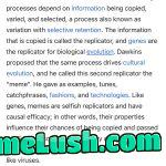 I always wondered why we called them “memes.”