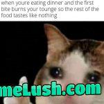 Taste the pain