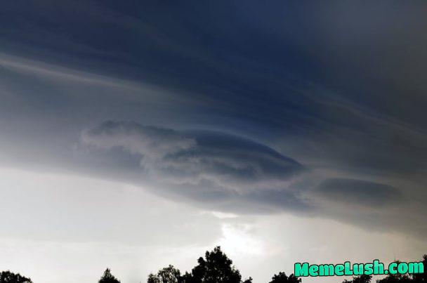 Me to my wife: Listen, this rolling cloud formed a turtle. My wife is kicking me, I want to see this turtle tonight. Me to my wife: Listen, this rolling cloud formed a turtle. My wife is kicking me, I want to see this turtle tonight.