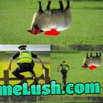 England in a nutshell