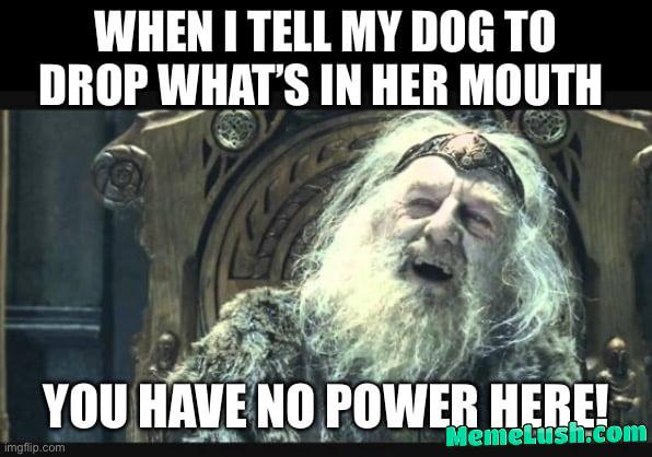 I will fight you to the death for the rights to this twig, father I will fight you to the death for the rights to this twig, father