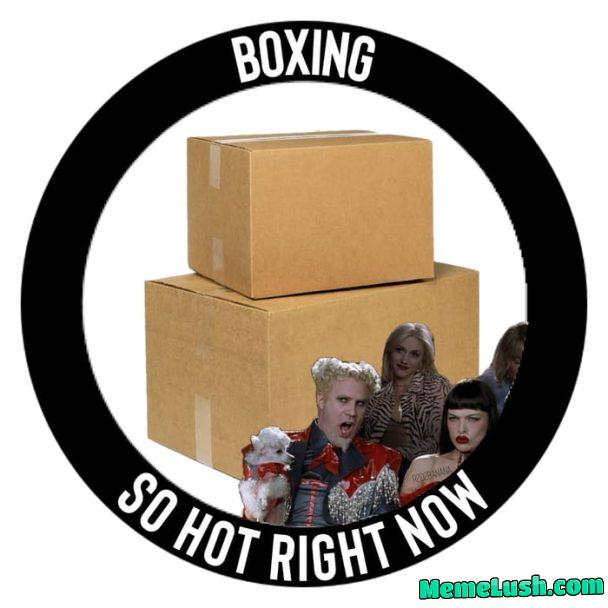 Fox in socks in box Fox in socks in box