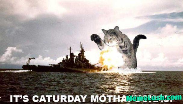 These last days on 9GAG