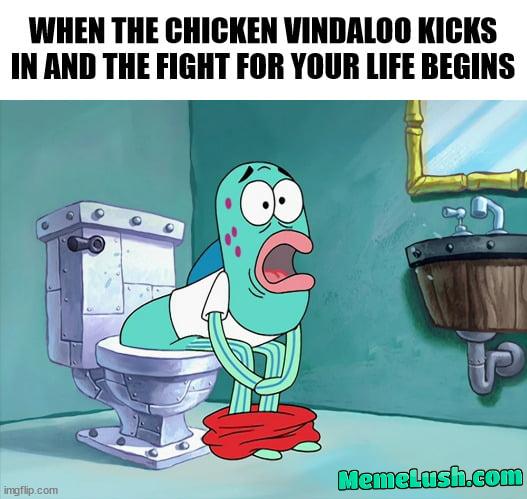 European colons are not made for south asian spices! European colons are not made for south asian spices!