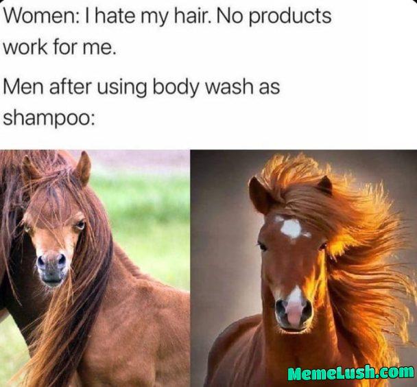 The horse is here The horse is here