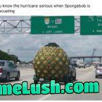 Spongebob is evacuating