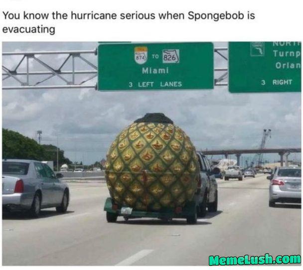 Spongebob is evacuating