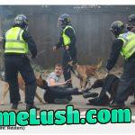 Title written to gaslight people: “The man seems concerned by the pack of German Shepherds around him”