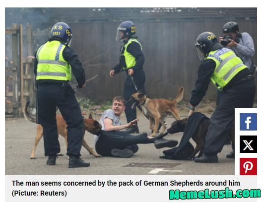 Title written to gaslight people: “The man seems concerned by the pack of German Shepherds around him” Title written to gaslight people: “The man seems concerned by the pack of German Shepherds around him”