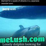 Even they know Japan needs it.