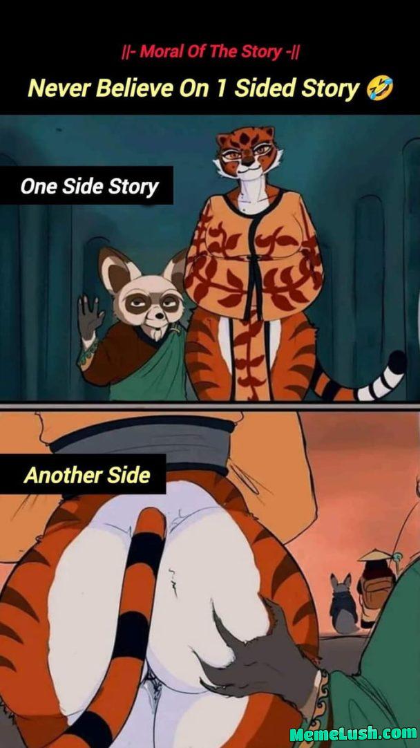 Other side of kungfu panda Other side of kungfu panda